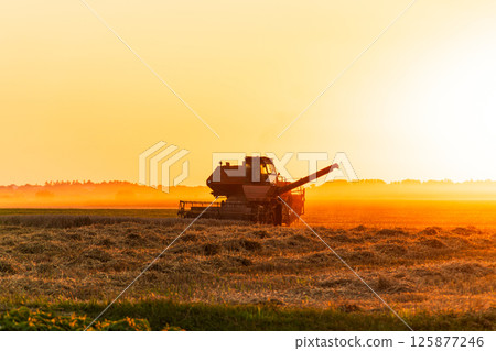 A combine harvester works tirelessly in a field as the sun sets, casting golden light over the landscape 125877246