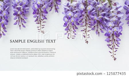 Vivid purple flowers on a clean white background 125877435