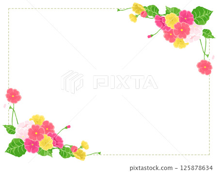多彩的報春花插圖框架 125878634