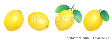 Fresh lemon and leaves hand drawn illustration set_watercolor__citrus fruits Fresh lemon and leaves hand drawn illustration set_watercolor__citrus fruits 125878674