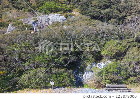 Ryugu Rock at Cape Muroto/World Geopark/Muroto-Anan Coast Quasi-National Park 125879006