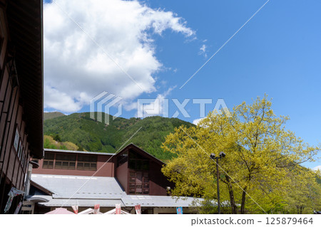 Spring on the Kisoji road - Kiso Narakawa roadside station Spring on the Kisoji road - Kiso Narakawa roadside station 125879464