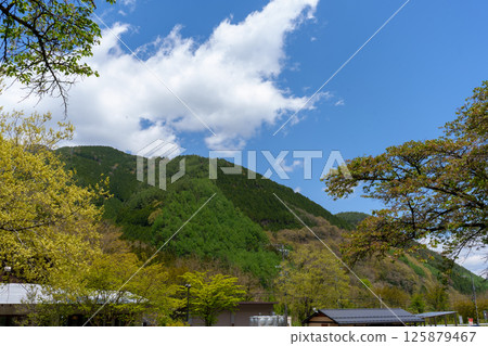 木曾路的春天－木曾奈良川道之驛 125879467