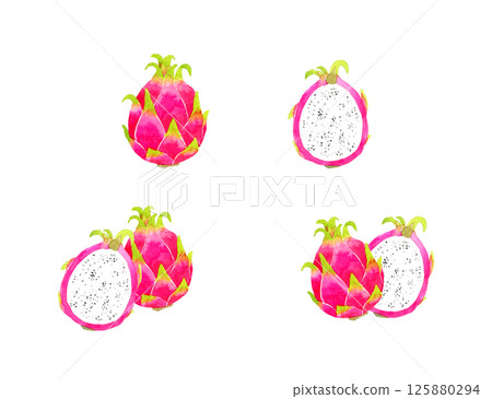 Dragon fruit set Hand-drawn watercolor illustration of fruits Dragon fruit set Hand-drawn watercolor illustration of fruits 125880294