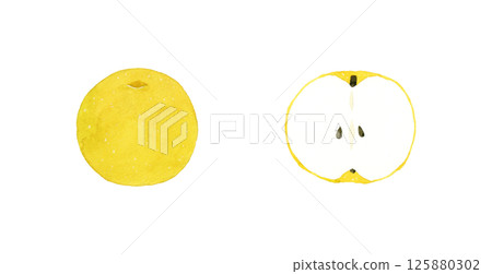 Pear cut in half - Hand-drawn watercolor illustration of fruit 125880302