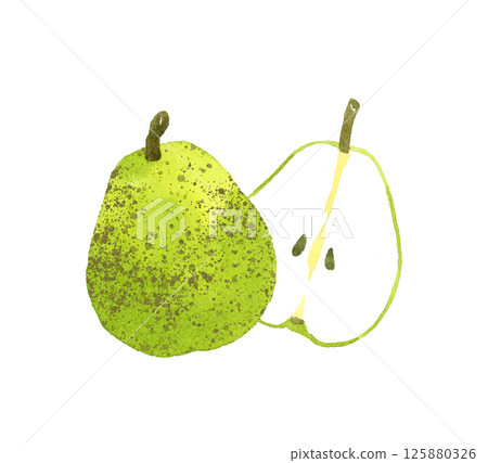 La France (pear, European pear) cut in half. Hand-drawn watercolor illustration of fruit La France (pear, European pear) cut in half. Hand-drawn watercolor illustration of fruit 125880326