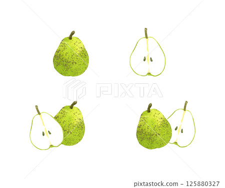 一套法國梨（歐洲梨）手繪水彩水果插圖 125880327