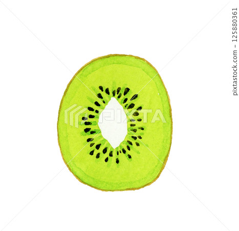 Hand-drawn watercolor illustration of green kiwi fruit cut in half 125880361