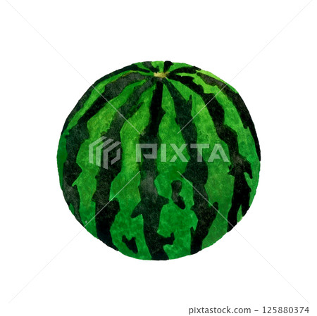 1 ball of watermelon Summer fruit hand-painted watercolor illustration material 1 ball of watermelon Summer fruit hand-painted watercolor illustration material 125880374