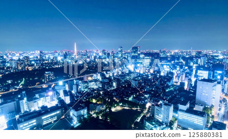 Tokyo night view | Skyscrapers and shining city lights 125880381