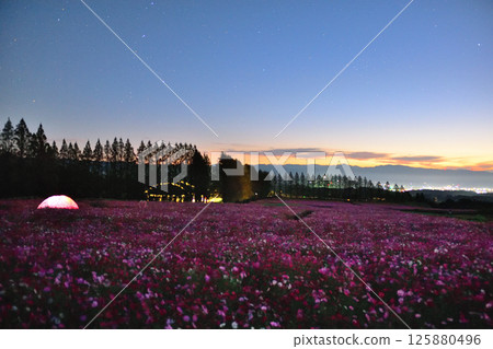 日出前的生駒高原 125880496