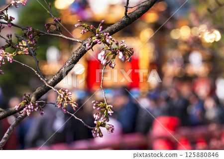 250414 Spring Takayama Festival g297 250414 Spring Takayama Festival g297 125880846