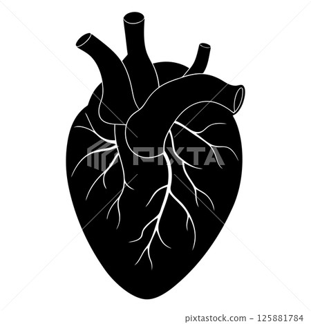 Human Heart Anatomy Precision Medical Illustration for Healthcare and Education Human Heart Anatomy Precision Medical Illustration for Healthcare and Education 125881784