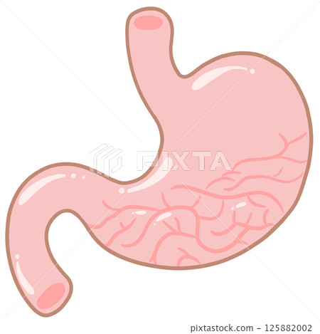 Anatomy of the stomach Pastel Cute Anatomy of the stomach Pastel Cute 125882002