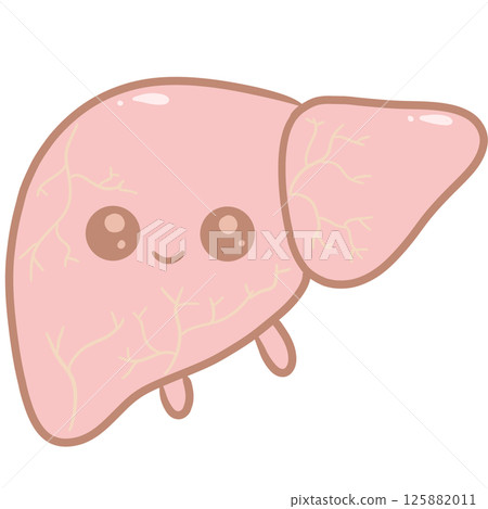 Cartoon anatomy liver cute pastel Cartoon anatomy liver cute pastel 125882011