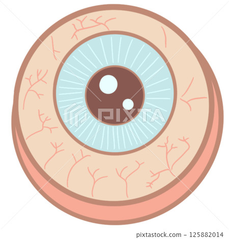Anatomy Eye Pastel Cute 125882014