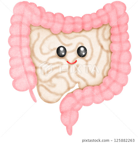 Human Intestinal Anatomy 125882263