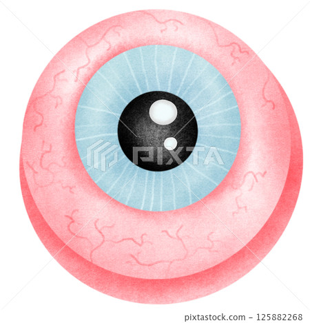 Anatomy Eye Anatomy Eye 125882268