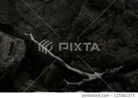 Driftwood crashing against rocks Driftwood crashing against rocks 125882373
