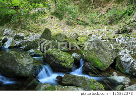 Beautiful Akame Shijuhachitaki waterfalls with fresh greenery Beautiful Akame Shijuhachitaki waterfalls with fresh greenery 125882378