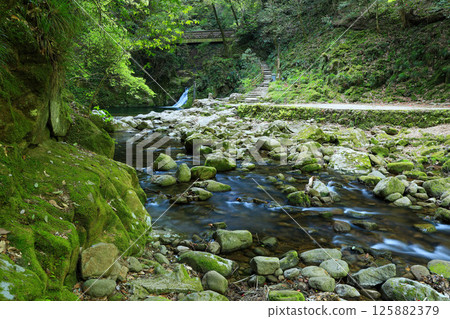 Small waterfall in the forest Small waterfall in the forest 125882379