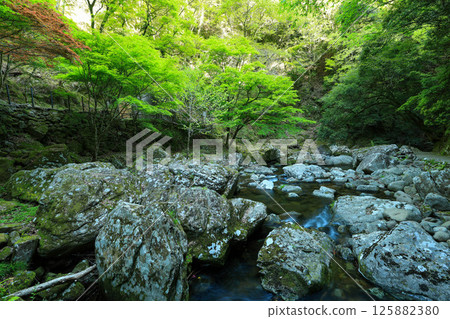 Akame 48 Waterfalls, shining among the fresh greenery Akame 48 Waterfalls, shining among the fresh greenery 125882380