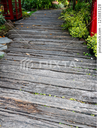 Scenic wooden pathway lush garden nature serene environment close-up view Scenic wooden pathway lush garden nature serene environment close-up view 125883128
