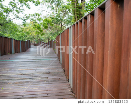 Scenic walking path through lush forest nature reserve tranquil setting ground level outdoor beauty 125883323