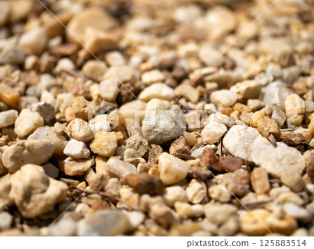 Gravel collection action outdoor setting nature bright sunlight close-up view textural details Gravel collection action outdoor setting nature bright sunlight close-up view textural details 125883514