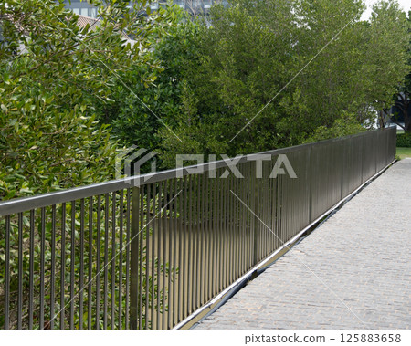 A scenic stroll embracing nature's beauty urban parks from a ground-level perspective 125883658
