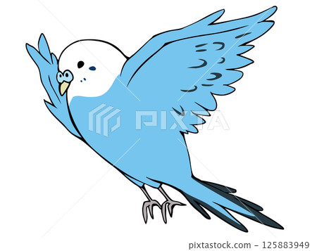 多彩的虎皮鸚鵡藍色飛翔 125883949