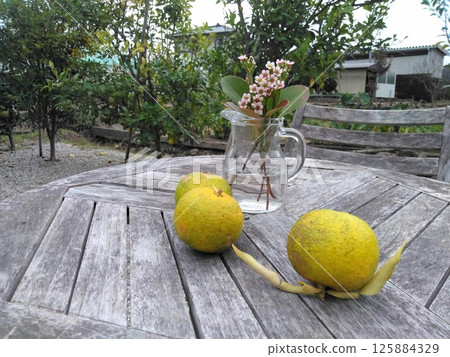 Scenery of flowers and yuzu in the garden of an old house 125884329