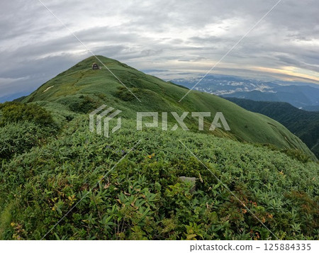 Hiking trails and bamboo grass fields on the southern ridge of Mt. Iwasashi 125884335