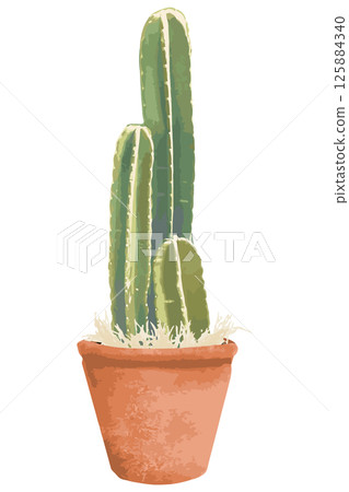 Watercolor cactus illustration 125884340