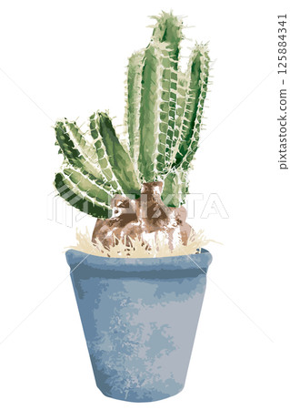 Watercolor cactus illustration Watercolor cactus illustration 125884341