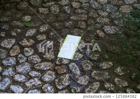 Water fortune telling at Shimogamo Shrine (Kamo Mioya Shrine) in Kyoto 125884382