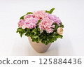Thanks for carnations on Mother's Day 125884436