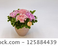 Thanks for carnations on Mother's Day 125884439