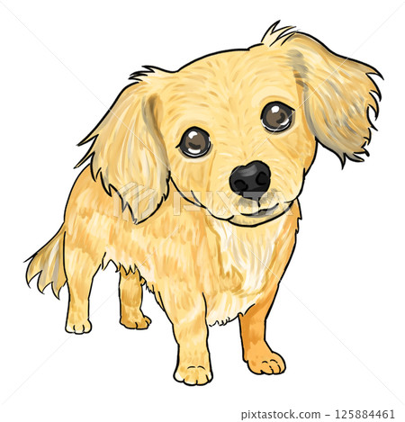 Towax Towax 125884461