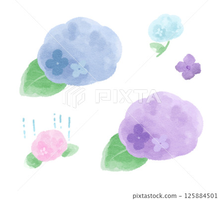 繡球花雙色插圖集 125884501