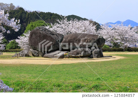 石舞台古墓的春天：櫻花盛開 125884857