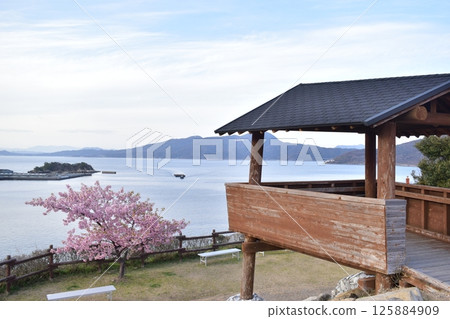 河津櫻花、水仙花、上關城山歷史公園、山口 125884909