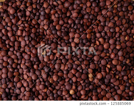 Organic uncooked seeds dark red brown lentils. 125885069