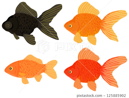 金魚撈金魚插畫集向量素材 125885902