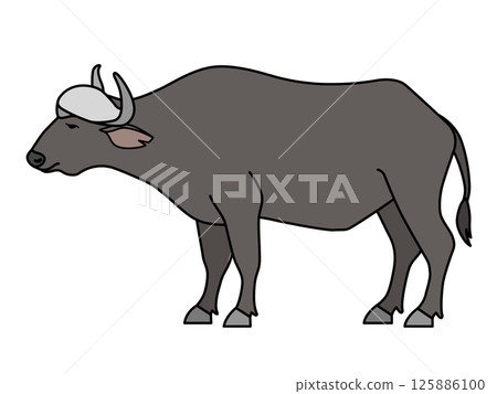 African buffalo African buffalo 125886100