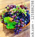 Freshly picked grapes 125886298