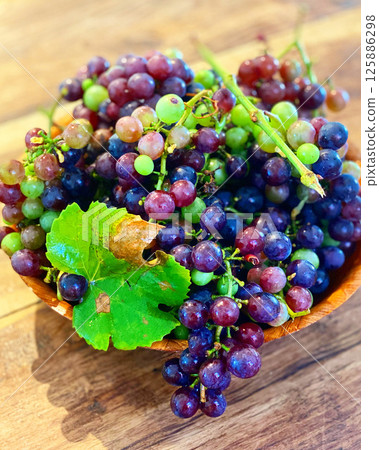 Freshly picked grapes 125886298