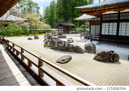 Kongobu-ji Temple: View of the Banryu Garden and the inner hall from the annex, Mount Koya, Wakayama Prefecture 125886594