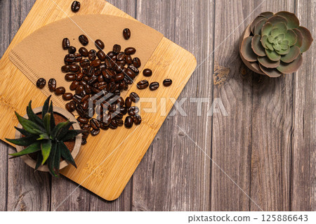 succulent plant, coffee, bean 125886643