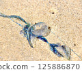 Blue bottle washed up on the beach 125886870